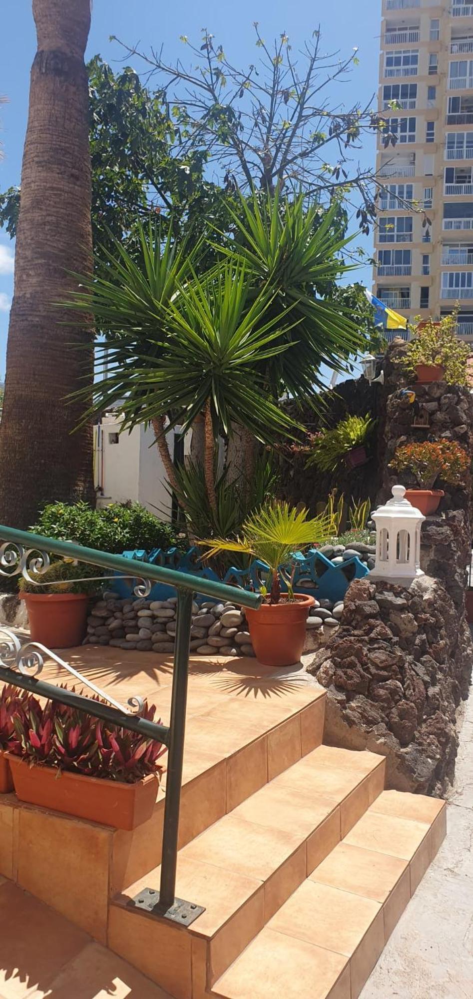 Wonderful White Appartament In Las Tortugas Playa de las Americas  Exterior photo