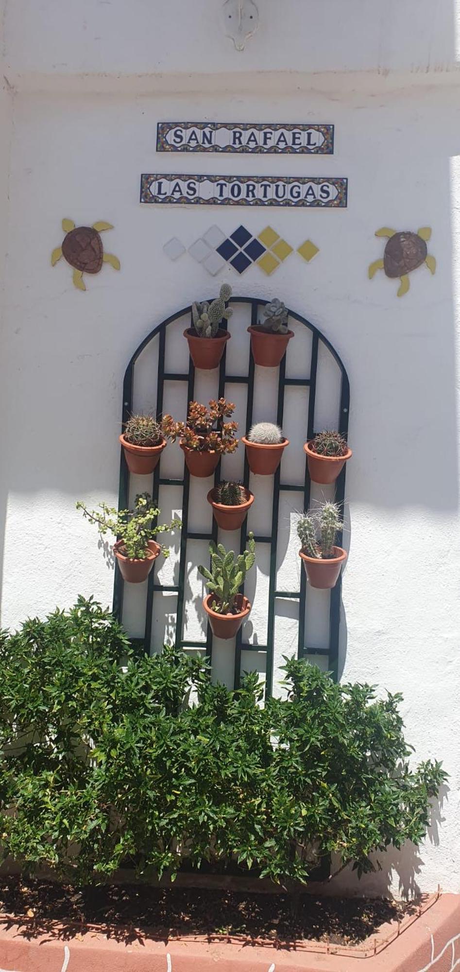 Wonderful White Appartament In Las Tortugas Playa de las Americas  Room photo