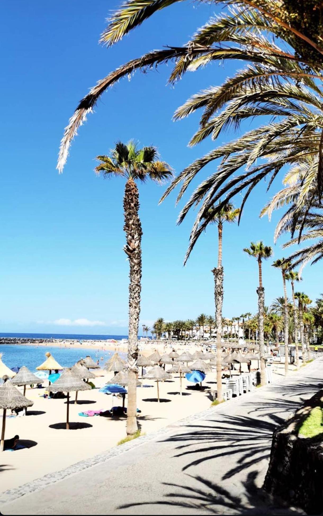 Wonderful White Appartament In Las Tortugas Playa de las Americas  Exterior photo